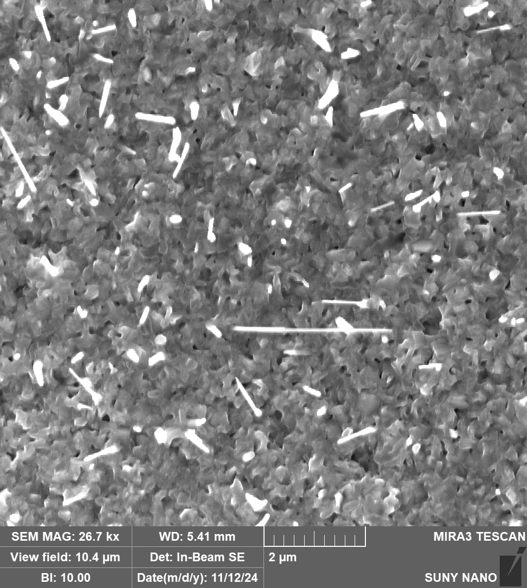 Cu2O Thermal Oxidation SEM